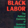 Stolen Black Labor: The Political Economy of Domestic Colonialism